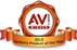 AV Award 2013